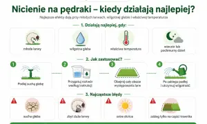 Poradnik: kiedy oprysk na pędraki działa najlepiej. Ilustracja pokazuje młode larwy, wilgotną glebę, właściwą temperaturę i pochmurny dzień.