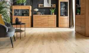 Nowoczesny salon z drewnianymi meblami, takimi jak komoda i witryna, idealnie pasuje do stylu ac4 czy ac5.
