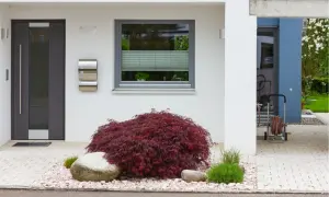 Jak zaaranżować wejście do domu? Stylowe, nowoczesne drzwi, skrzynka na listy i ozdobne kamienie z klonem japońskim tworzą elegancką przestrzeń.