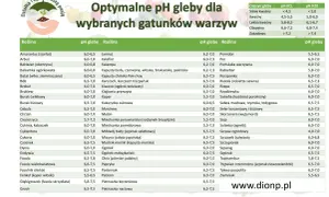 Tabela optymalnego pH gleby dla warzyw. Lekko kwaśna ziemia (pH 6,1-6,7) jest idealna dla wielu roślin, np. cebuli, marchwi czy pomidorów.