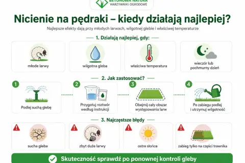 Poradnik: kiedy oprysk na pędraki działa najlepiej. Ilustracja pokazuje młode larwy, wilgotną glebę, właściwą temperaturę i pochmurny dzień.