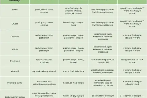 Tabela podpowiada, czym pryskać drzewa owocowe na wiosnę, uwzględniając gatunek, choroby, terminy i fazy rozwojowe.
