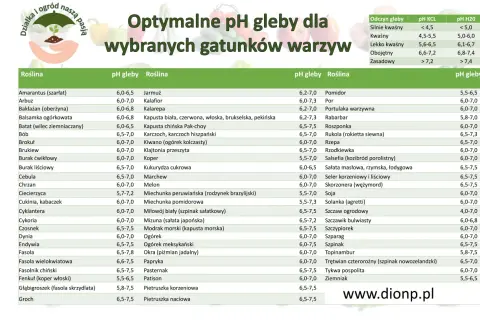 Tabela optymalnego pH gleby dla warzyw. Lekko kwaśna ziemia (pH 6,1-6,7) jest idealna dla wielu roślin, np. cebuli, marchwi czy pomidorów.