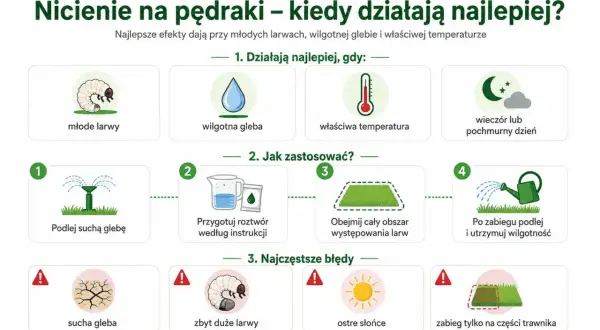 Poradnik: kiedy oprysk na pędraki działa najlepiej. Ilustracja pokazuje młode larwy, wilgotną glebę, właściwą temperaturę i pochmurny dzień.