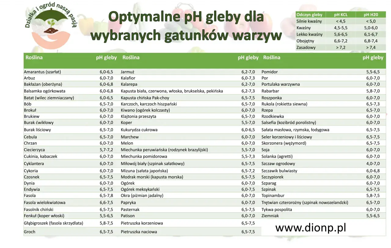 Tabela optymalnego pH gleby dla warzyw. Lekko kwaśna ziemia (pH 6,1-6,7) jest idealna dla wielu roślin, np. cebuli, marchwi czy pomidorów.