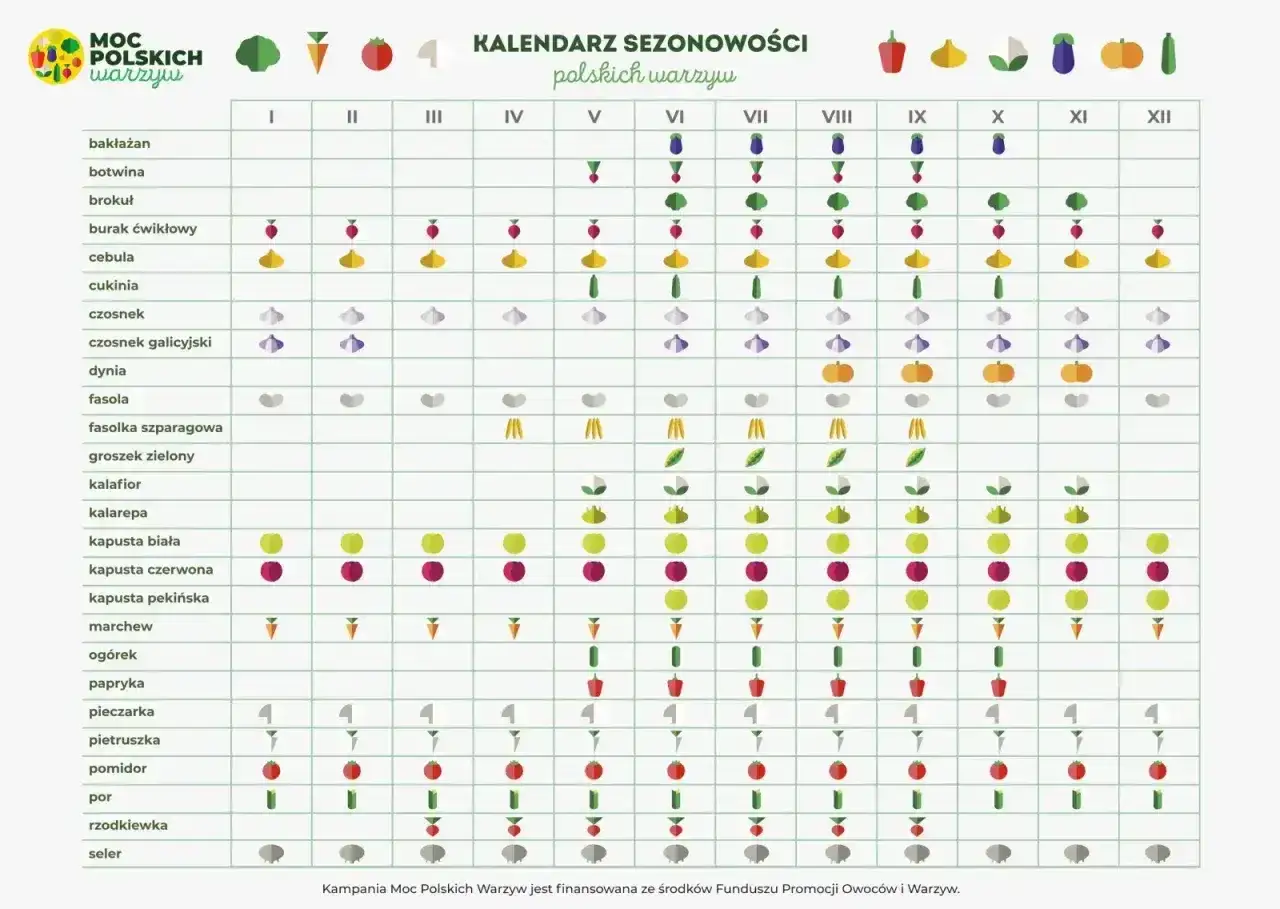 Kalendarz sezonowości warzyw. Kiedy siać rzodkiewkę? Wiosną, od marca do maja, a także jesienią, od września do listopada.