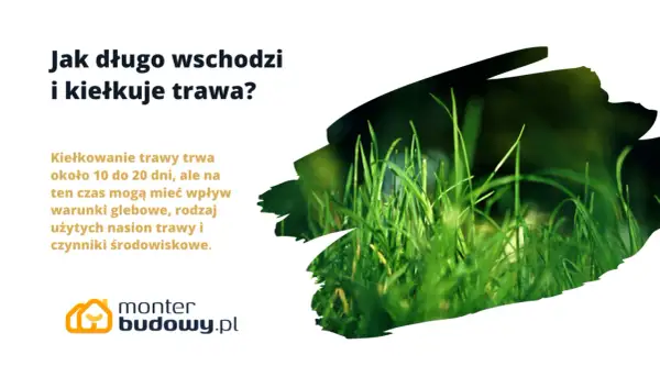 Jak długo kiełkuje trawa? Zazwyczaj 10-20 dni, ale zależy to od gleby, nasion i warunków.