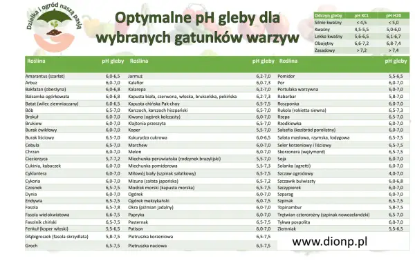 Tabela optymalnego pH gleby dla warzyw. Lekko kwaśna ziemia (pH 6,1-6,7) jest idealna dla wielu roślin, np. cebuli, marchwi czy pomidorów.